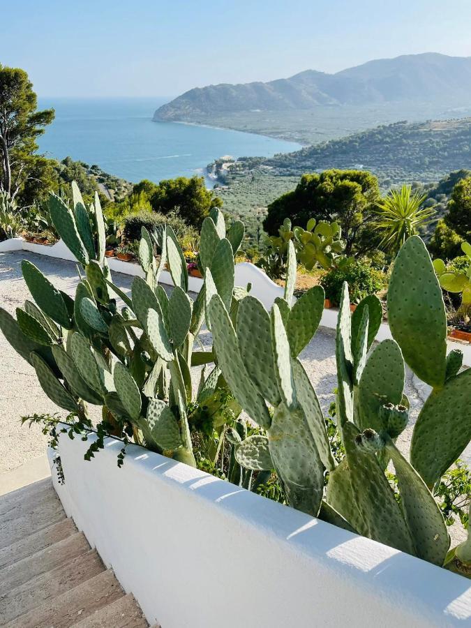 Casa Molo 13 Villa Mattinata Buitenkant foto